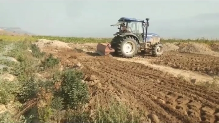 国产804型拖拉机哪个牌子的好