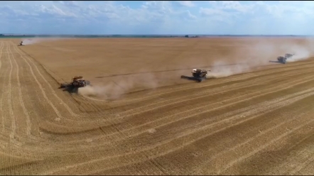 今年没买收割机的老铁们心里慌吗？