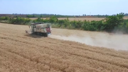 2022款沃得皓龙配置