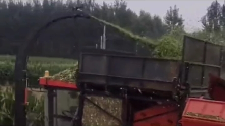 这款茎穗兼收玉米收割机我还是第一次见