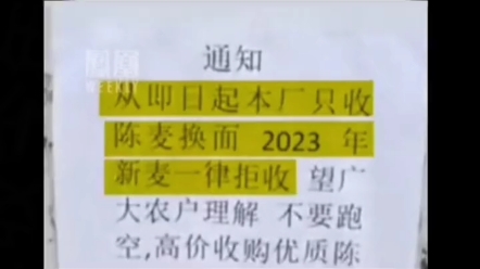 河南小麦今年受灾情况，河南面粉厂拒收今年新麦