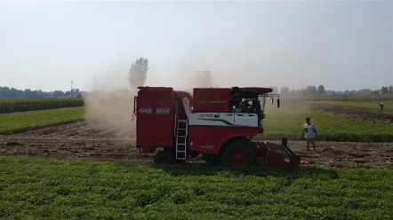 花生收获里程碑，中联收获花生机。