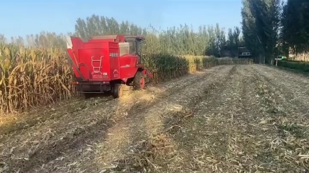 粮食涨到两元，农民是否就能致富