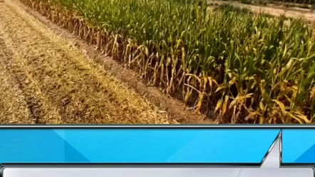 2022年陕西省农机补贴政策