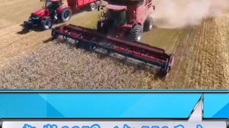 大型谷物联合收割机