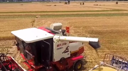 雷沃GE系列小麦机，这作业效果看着怎么样？