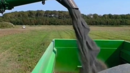 来看这一款，收割大力神，货真价实。