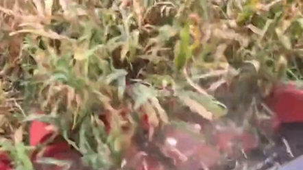 这效率没谁了，国产机，雄起！！！