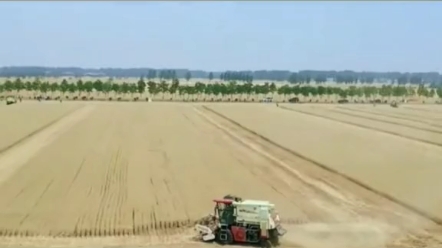 国产收割机优秀企业与产品之江苏沃得篇，关注我带您看尽世界收割