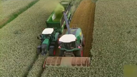 2023年多地禁止割青毁麦，国家主粮不容有失。