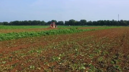 拖拉机主离合分离不彻底该如何解决