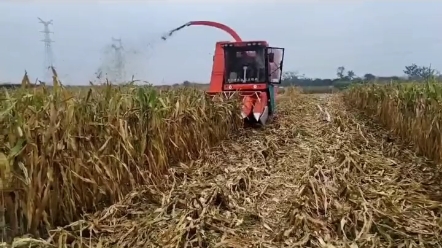 辽宁省小麦玉米籽粒联合收割机怎样买更划算