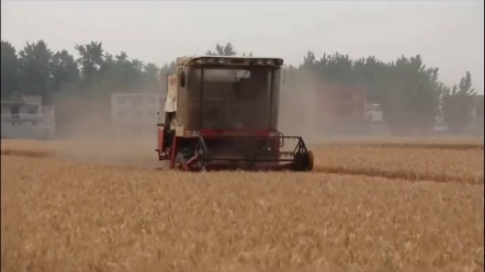 河南省还有哪些地区需要大规模机收您知道吗？