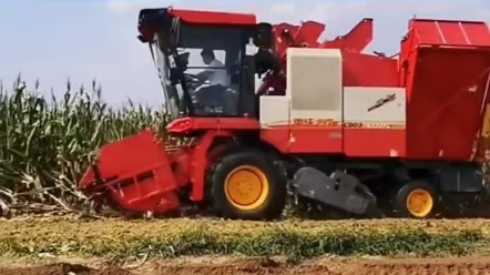 雷沃谷神玉米收割效果一流