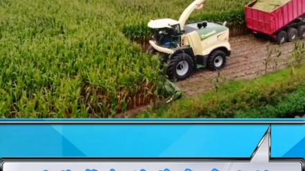 科罗尼青贮机收割作业视频