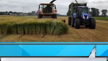 纽荷兰FR650青贮机