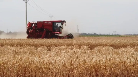 国产纵轴流您更喜欢哪一款