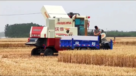 国三升国四正确解读