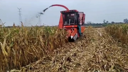 吉林省茎穗兼收玉米机补贴来了