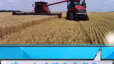 大型谷物联合收割机