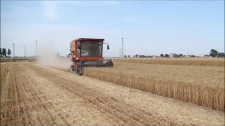 历经六十余载，发展壮大的一拖东方红，为国产农机点赞