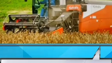 小麦收割农活信息