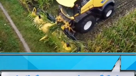 纽荷兰FR650 青贮机