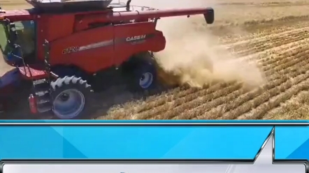 大型谷物联合收割机凯斯作业视频