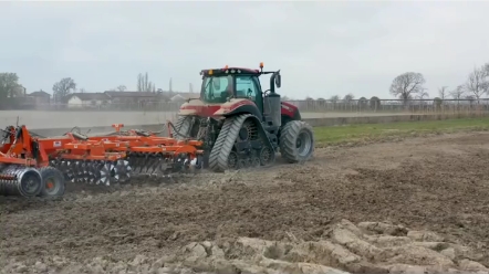 美国凯斯您看怎么样