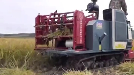 沃得半喂入收割打捆不脱粒功能演示，你觉得这个功能怎么样？