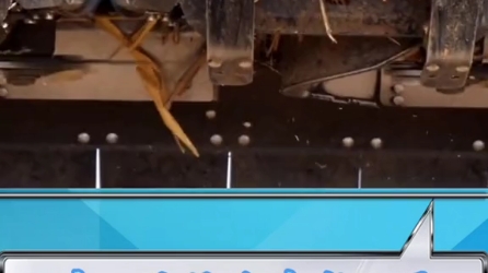 国外大型收割机作业