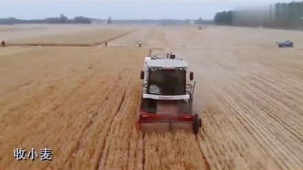 联合谷物收割机排行榜之春雨MCH小麦机
