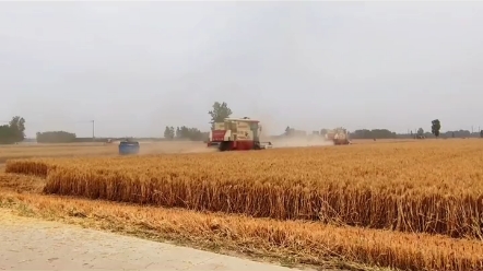 河南麦收进度来了