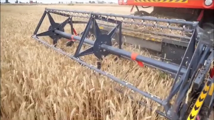 世界记录保持者-纽荷兰CR