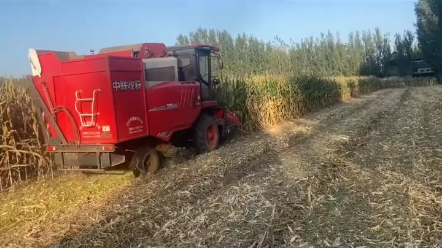 中联收获 三行收获机   性价比超高的玉米收割利器