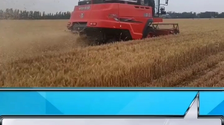 2022年购买一台谷物联合收割机多久能回本？