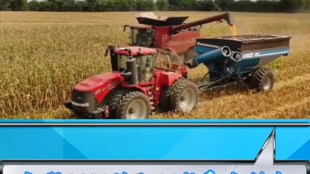 凯斯9250联合收割机搭配16行玉米籽粒割台作业