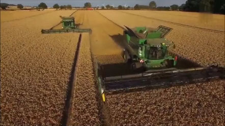 夏季粮食最低价收购价全面提高