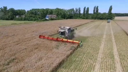 收地都是一种享受的收割机，你见过吗？