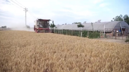 雷沃GM80SH推荐指数五颗星，性能强悍