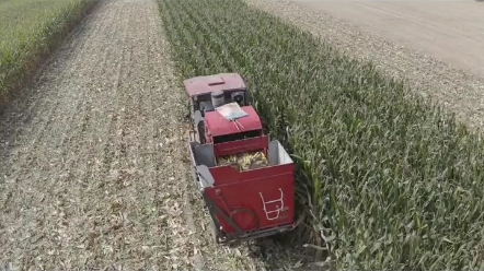 哪种玉米机更适合跨区，跨区玉米机购买建议（1）