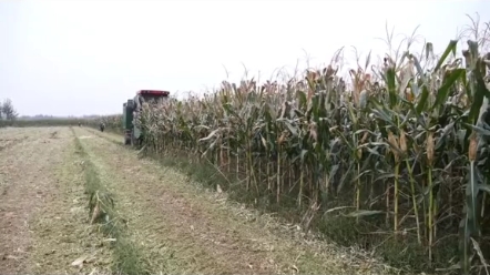 消逝的农机品牌-山东润源