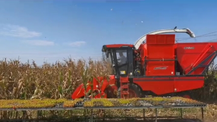 中联收获茎穗兼收玉米机，性价比竟然如此之高