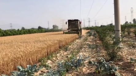 您今年的跨区路线规划好了吗？