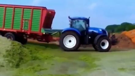 农业农村部下发通知，排查做青贮小麦等各类行业。大家不要跟风做