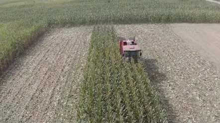 跨区玉米机是否需要买茎穗兼收，四驱真的重要吗？