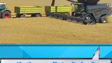 大型谷物联合收割机。