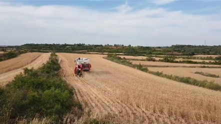 办理收割机驾驶证多少钱？