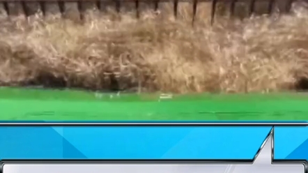 约翰迪尔S780联合收割机