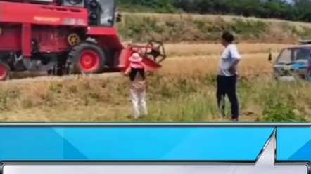 小麦收割农活信息。
